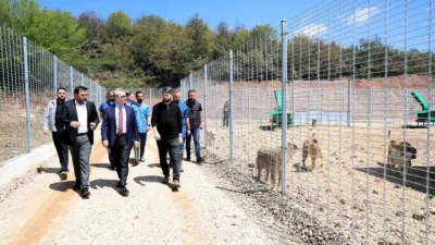 Kocaeli Büyükşehir Belediyesi tarafından Umuttepe bölgesinde inşası 2,5 ay gibi