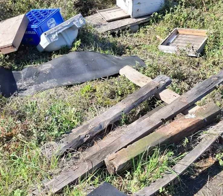 Zonguldak şehir merkezine sadece 7 kilometre uzaklıkta arıcılık yapan Bilgin