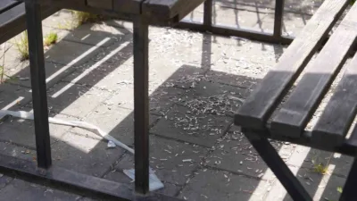 Düzce’nin nefes alma noktalarından Melen Su Park’ta piknikçilerin geride bıraktığı