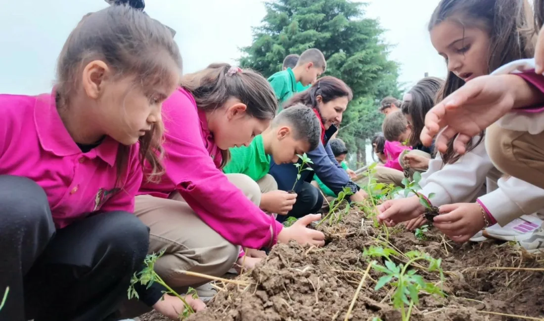 Düzce İl Tarım ve Orman Müdürlüğü koordinasyonunda, Düzce Belediyesi Tarım