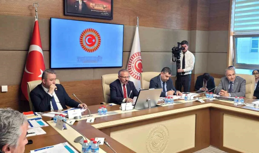 TBMM Şanlıurfa ile Kahramanmaraş Okul Olaylarını ve Dijital Riskleri Araştırma