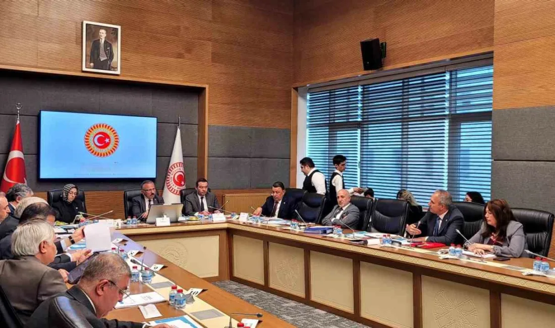 TBMM Şanlıurfa ile Kahramanmaraş Okul Olaylarını ve Dijital Riskleri Araştırma