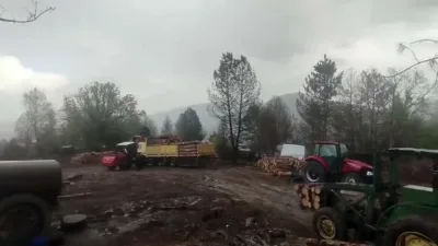 Karabük’ün Ovacık ilçesinde üretim çalışması yapan orman işçilerinin yakınındaki ağaca
