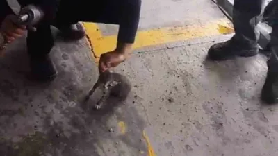 Karabük’ün Safranbolu ilçesinde bir otomobilin motor kısmına giren yavru kedi,