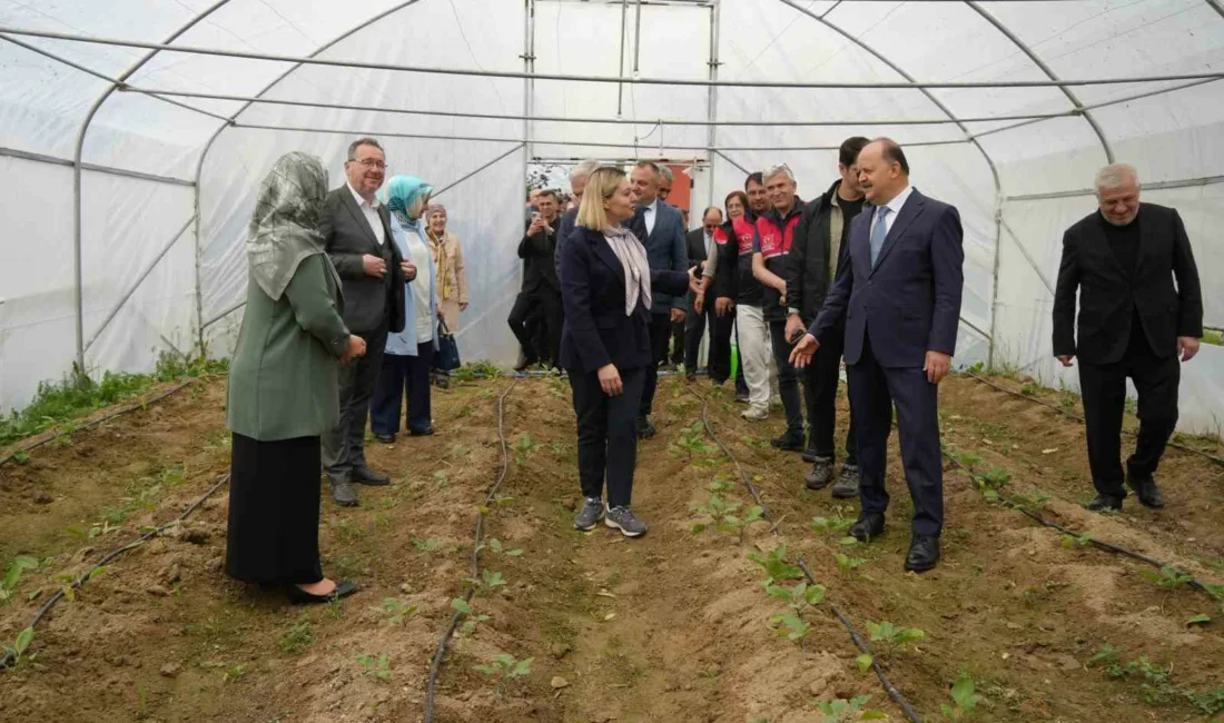 Kastamonu’da “Özel Yürekler Üreten Eller Şekerköy Projesi” kapsamında hazırlanan seralarda