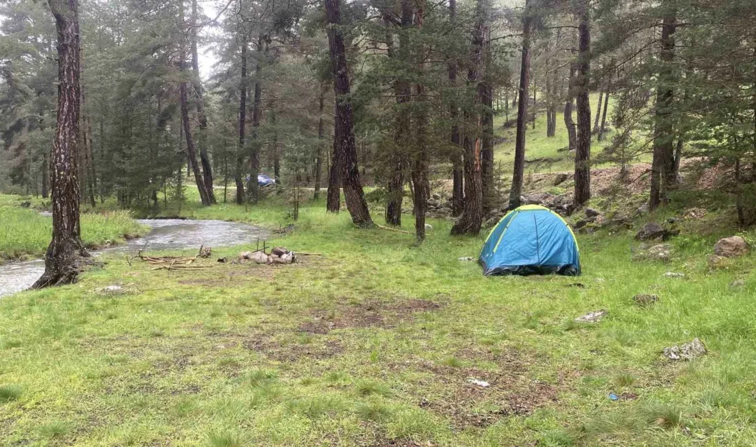 Bolu’nun Aladağlar bölgesinde piknik yaparken yanlarındaki ağaca yıldırım düşmesi sonucu