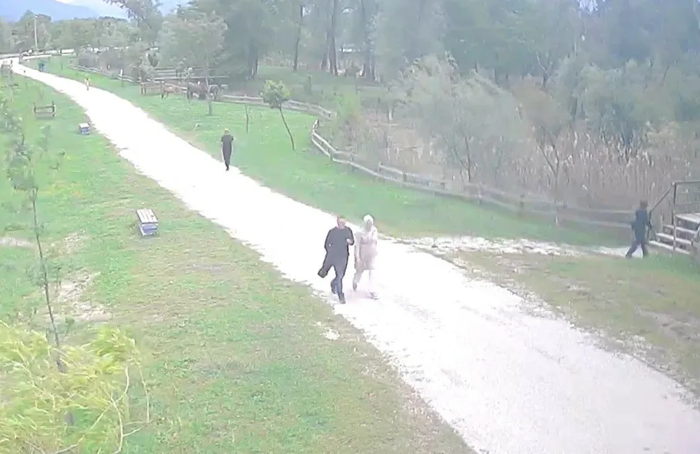 Sakarya’nın Arifiye ilçesindeki tabiat parkında yer alan gölette cansız bedeni