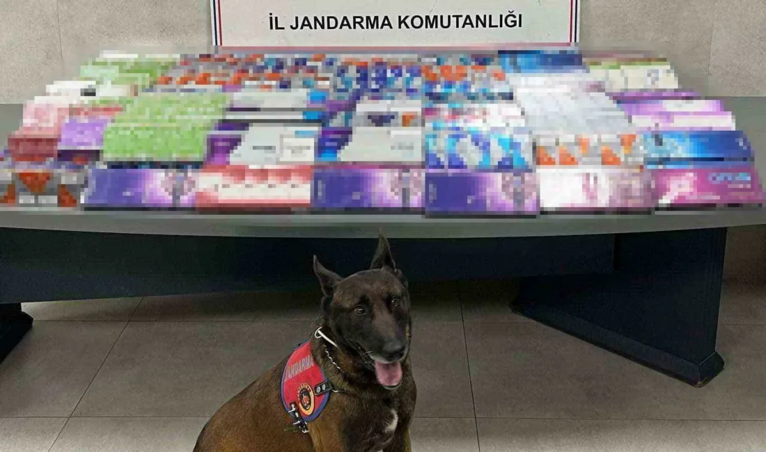 Sakarya’da jandarma ekiplerince kaçakçılık suçlarıyla mücadele kapsamında 3 ilçede düzenlenen