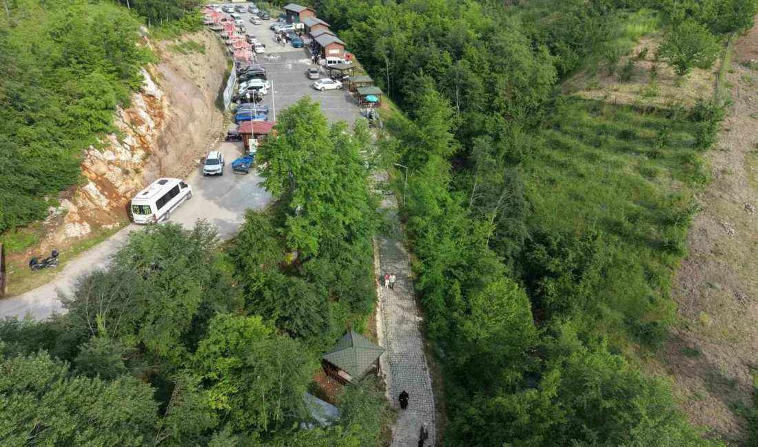 Düzce’de etkisini artıran sıcak hava nedeniyle vatandaşlar serinlemek için Sarıkaya