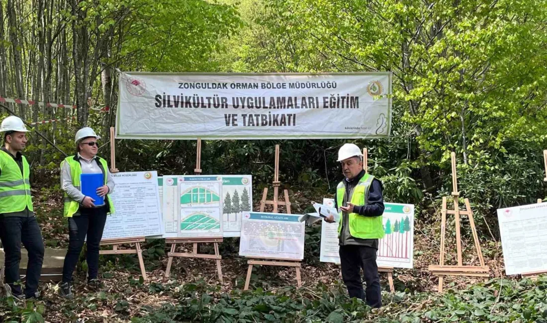 Zonguldak Orman Bölge Müdürlüğü tarafından tüm işletme müdürlüklerinde düzenlenen “Silvikültür