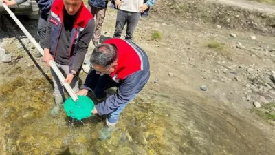 Düzce’nin Yığılca ilçesinde balık popülasyonunun arttırılması için dere ve akarsulara