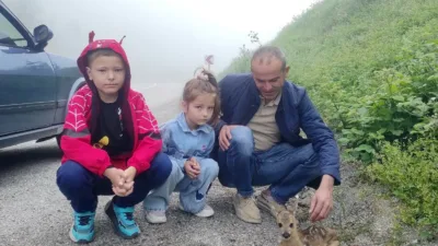 Kastamonu’nun İnebolu ilçesinde kayalıktan düşerek yaralanan yavru karaca, yoldan geçen