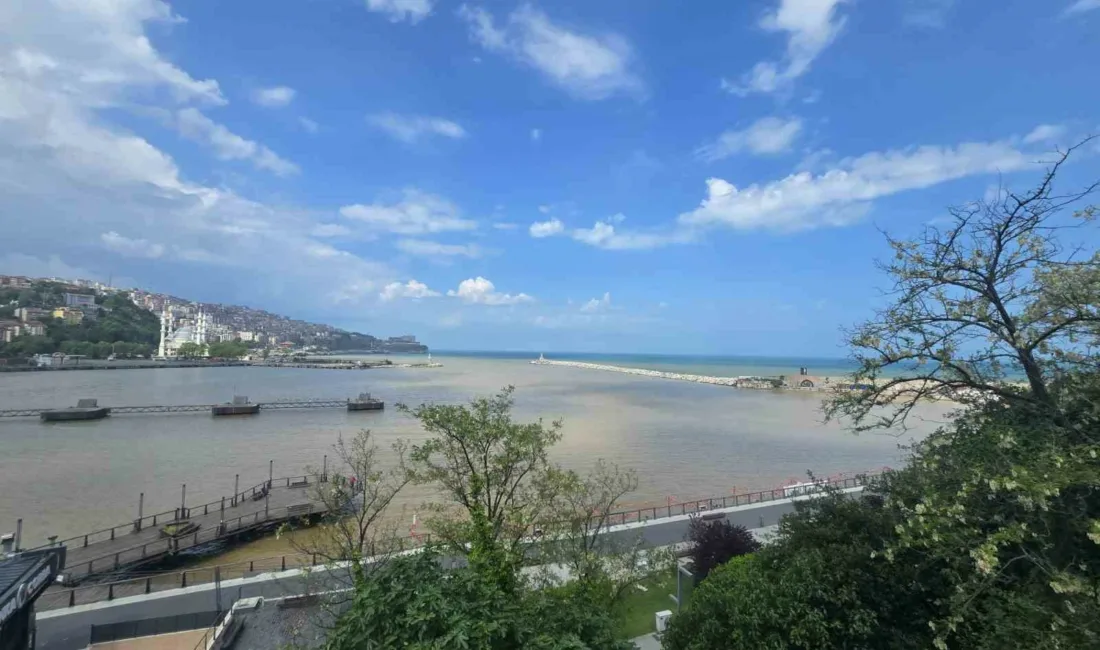 Zonguldak’ta yağışlar sonrası derelerden akan çamurlu suların döküldüğü Zonguldak Limanı’nda