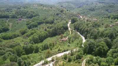 Zonguldak’ta baharın gelişiyle yeşilin tüm tonlarına bürünen ormanlık alanlar, dron