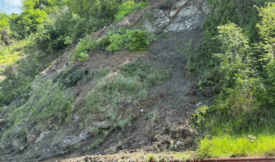 Zonguldak’ta 100. Yıl Şehirlerarası Otobüs Terminali’nde heyelan meydana geldi. Ağaç