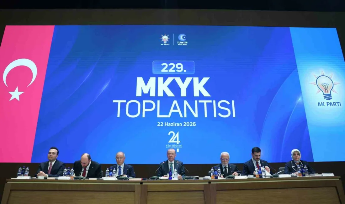 AK Parti Merkez Karar ve Yönetim Kurulu (MKYK), Cumhurbaşkanı ve