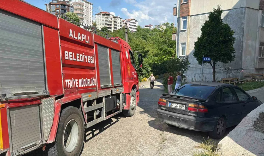 Zonguldak’ın Alaplı ilçesinde yemek yapılırken gaz kaçağı nedeniyle alev alan