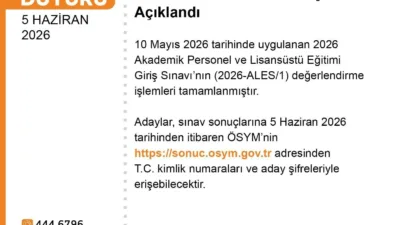 Ölçme, Seçme ve Yerleştirme Merkezi (ÖSYM), Akademik Personel ve Lisansüstü