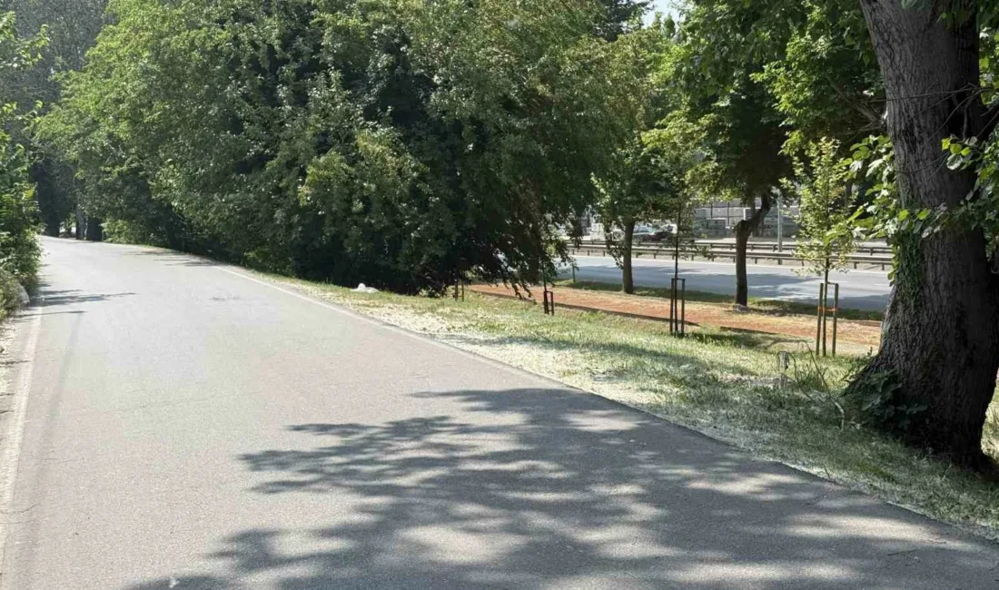 Sakarya’nın Adapazarı ilçesinde bir kişi, park halindeki aracında silahla vurulmuş