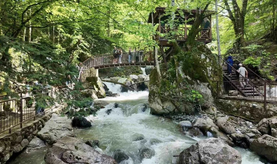 Kurban Bayramı tatilinde Düzce’nin doğal turizm noktaları ziyaretçi akınına uğradı.