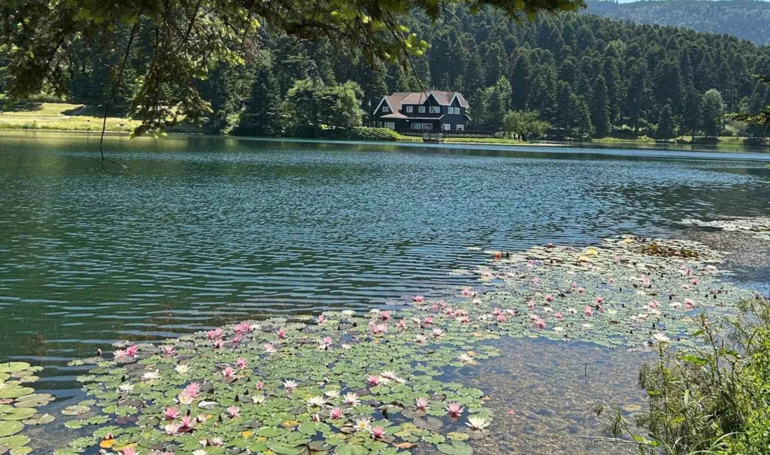 Bolu’nun doğa harikaları Gölcük Tabiat Parkı ve Abant Gölü Milli