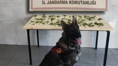 Bolu’da jandarma ekiplerince kaçakçılık ve uyuşturucu madde ticaretiyle mücadele kapsamında