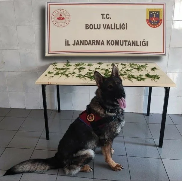 Bolu’da jandarma ekiplerince kaçakçılık ve uyuşturucu madde ticaretiyle mücadele kapsamında