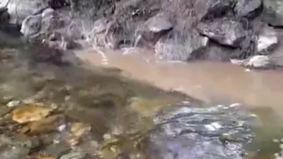 Bolu’da kanalizasyon sularının dereye karışmasına vatandaşlar tepki gösterdi. İddiaya göre,