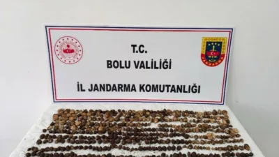 Bolu’nun Yeniçağa ilçesinde toplanması yasak olan 4,5 kilogram yabani salep