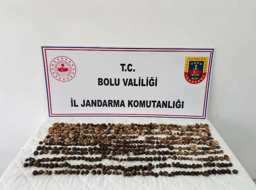 Bolu’nun Yeniçağa ilçesinde toplanması yasak olan 4,5 kilogram yabani salep