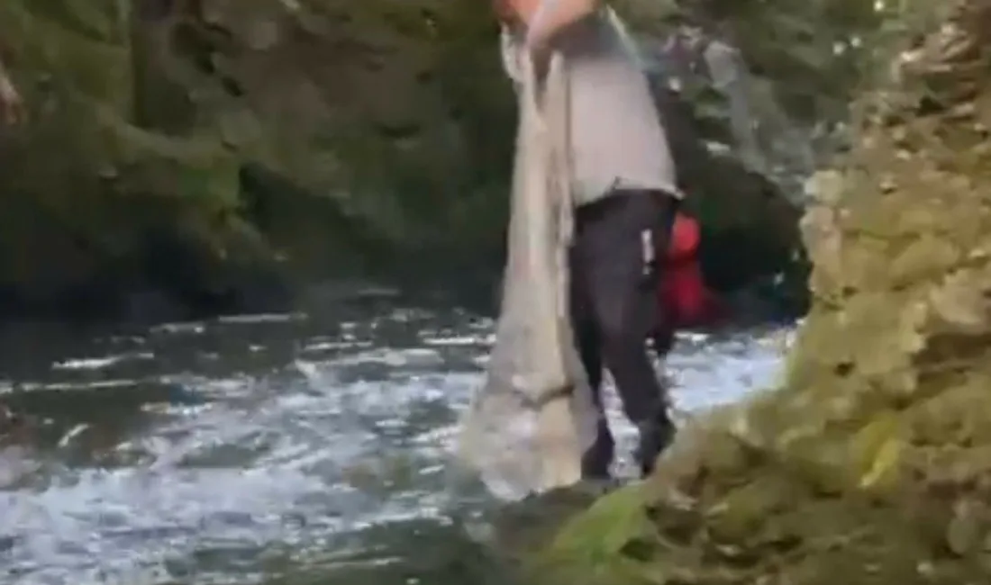 Bolu’da bulunan Sarıçam Orman İşletme Evleri mevkisinde, yasak olmasına rağmen