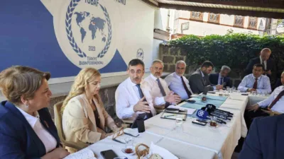 Cumhurbaşkanı Yardımcısı Cevdet Yılmaz, Terörsüz Türkiye süreci kapsamında yapılacak yasal