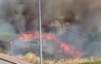 Kocaeli’nin Darıca ilçesinde boş arazide çıkan yangın paniğe sebep oldu.