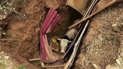 Kocaeli’nin İzmit ilçesinde defineciler tarafından kazıldığı düşünülen 15 metre derinliğindeki