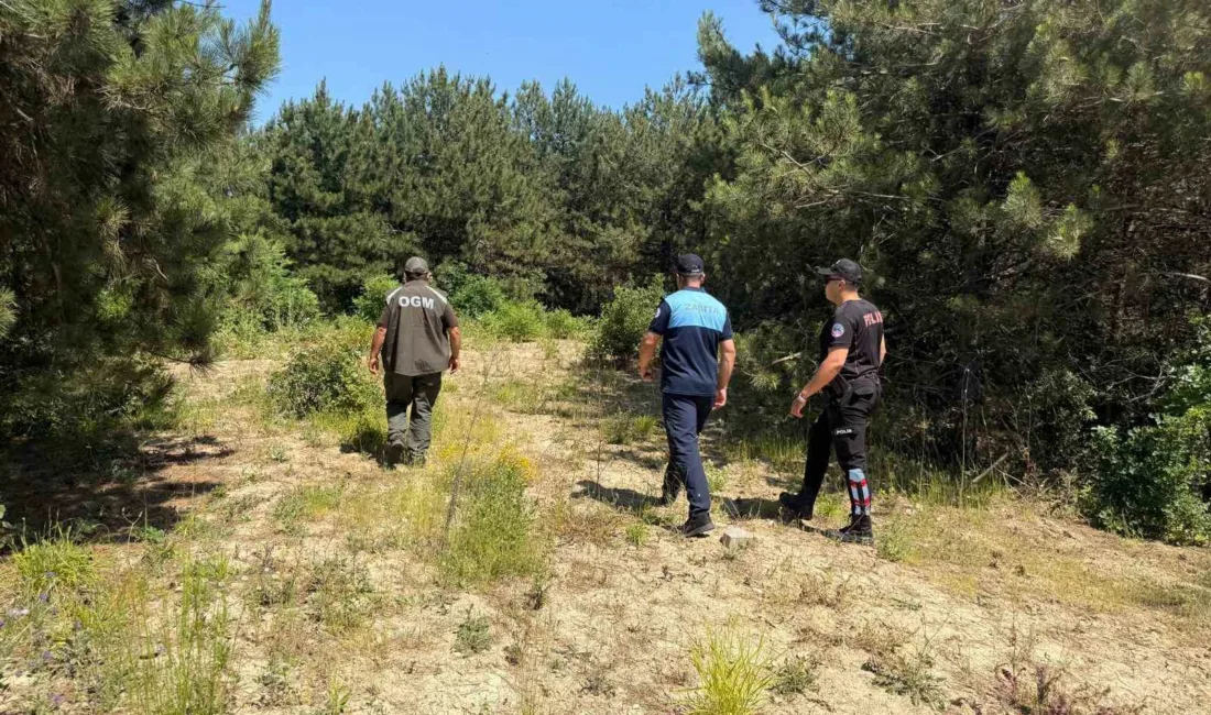 Dilovası’nda yaz aylarının gelmesi ve hava sıcaklıklarının artmasıyla birlikte ormanlık