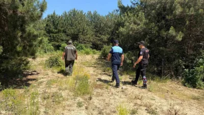 Dilovası’nda yaz aylarının gelmesi ve hava sıcaklıklarının artmasıyla birlikte ormanlık