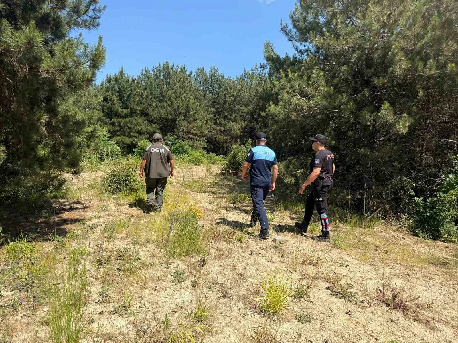 Dilovası’nda yaz aylarının gelmesi ve hava sıcaklıklarının artmasıyla birlikte ormanlık