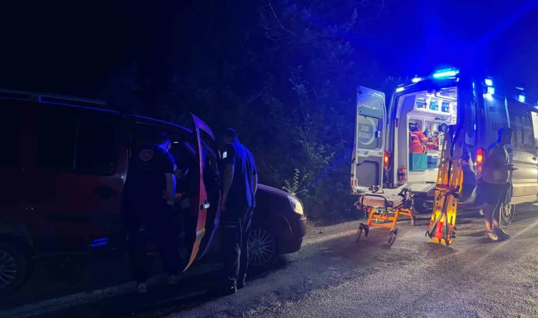 Zonguldak’ın Alaplı ilçesinde direksiyon başında uyuyakalan sürücünün, yapılan kontrollerde uyuşturucu