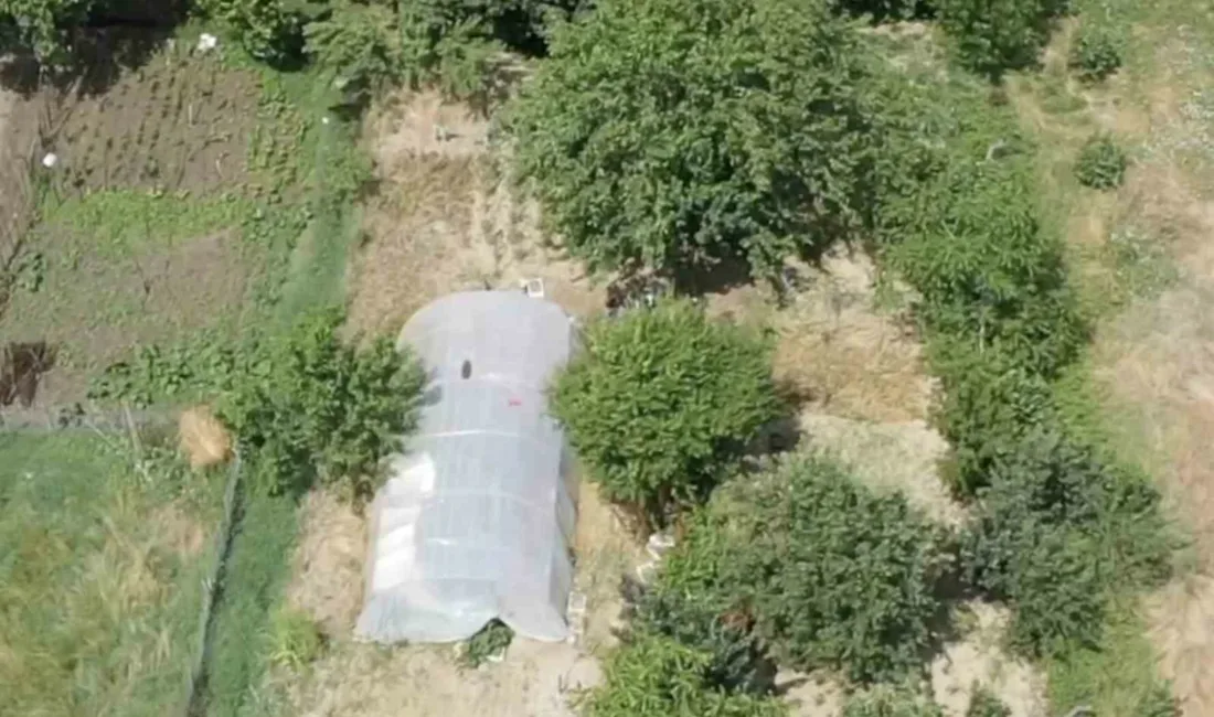 Sakarya’da narkotik ekiplerinin dron destekli çalışmaları neticesinde, seracılık faaliyeti görüntüsü