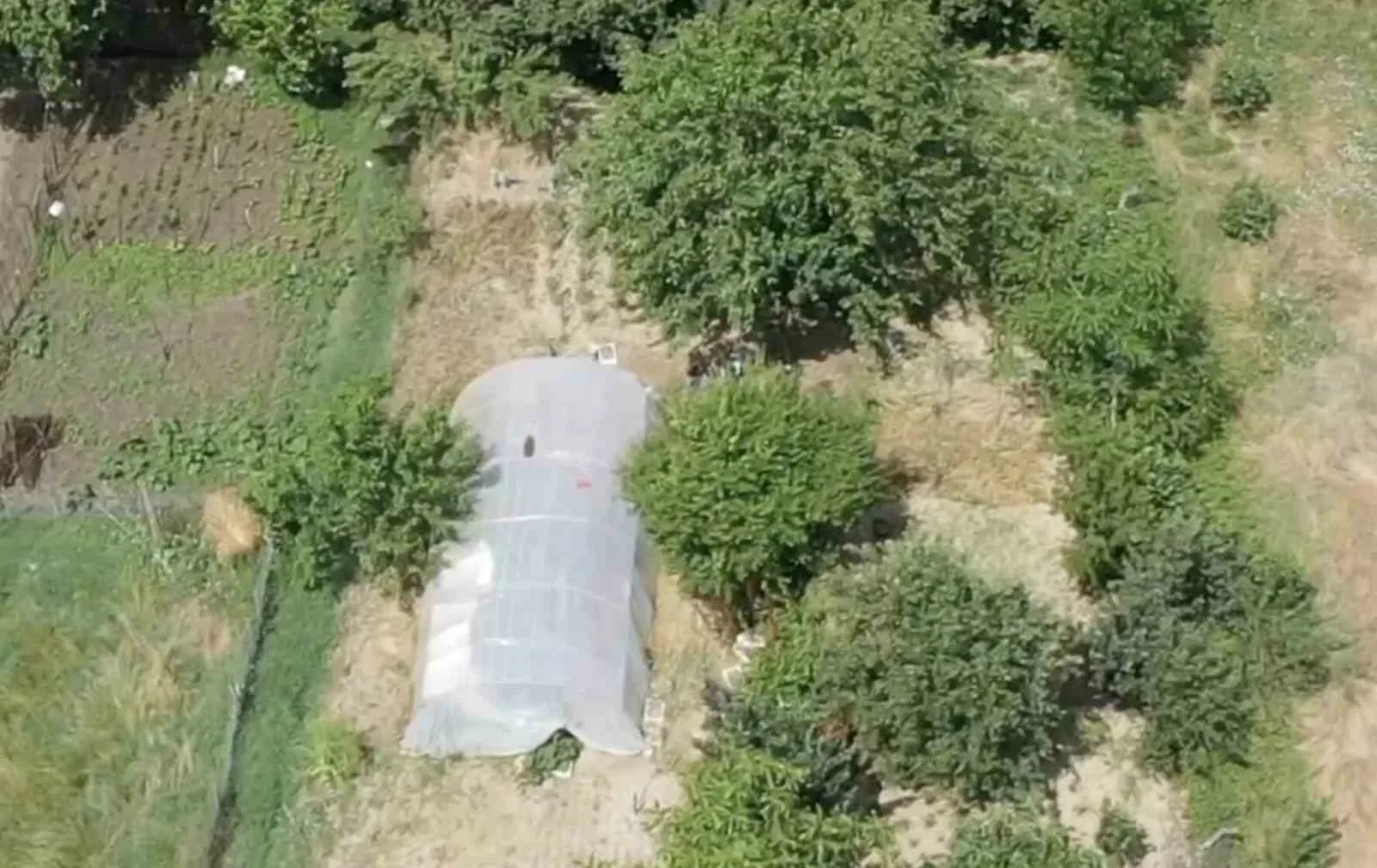 Sakarya’da narkotik ekiplerinin dron destekli çalışmaları neticesinde, seracılık faaliyeti görüntüsü