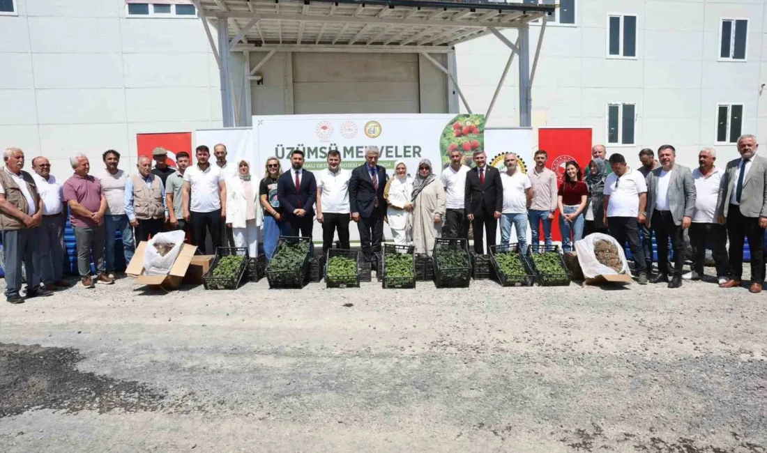 DÜZCE(İHA) – Düzce’de Üzümsü Meyveler Mali Destek Projesi kapsamında çiftçilere