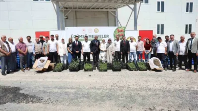 DÜZCE(İHA) – Düzce’de Üzümsü Meyveler Mali Destek Projesi kapsamında çiftçilere