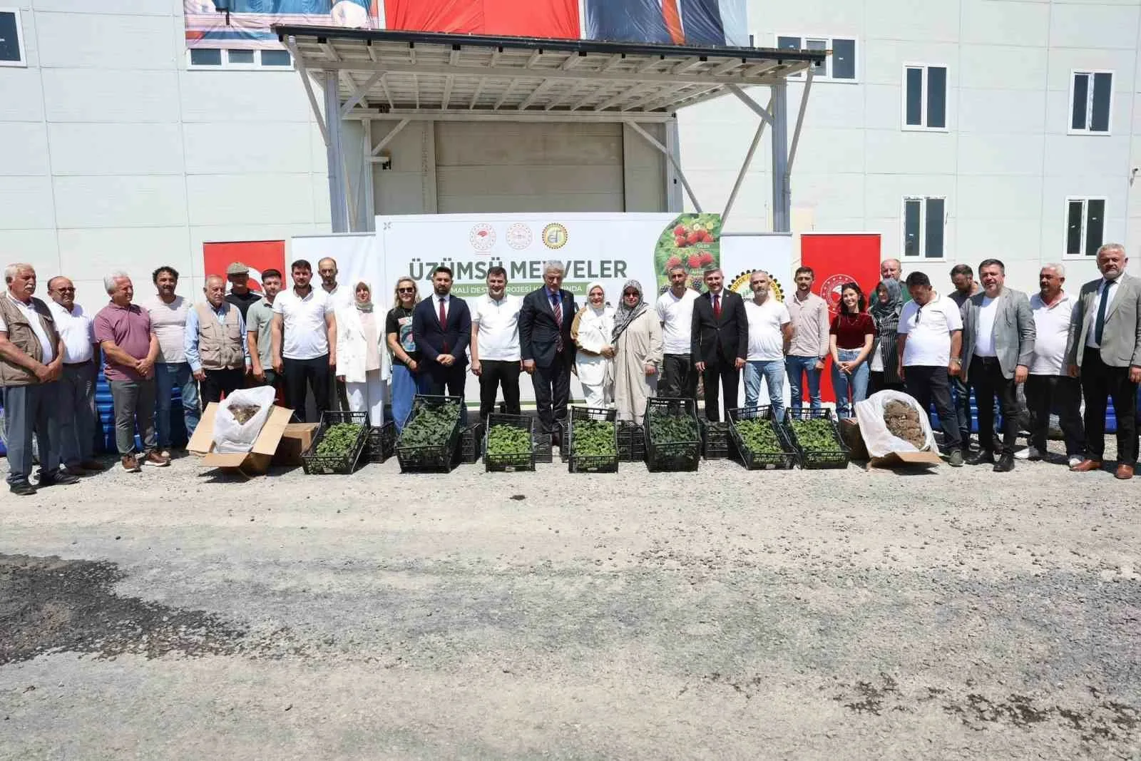 DÜZCE(İHA) – Düzce’de Üzümsü Meyveler Mali Destek Projesi kapsamında çiftçilere