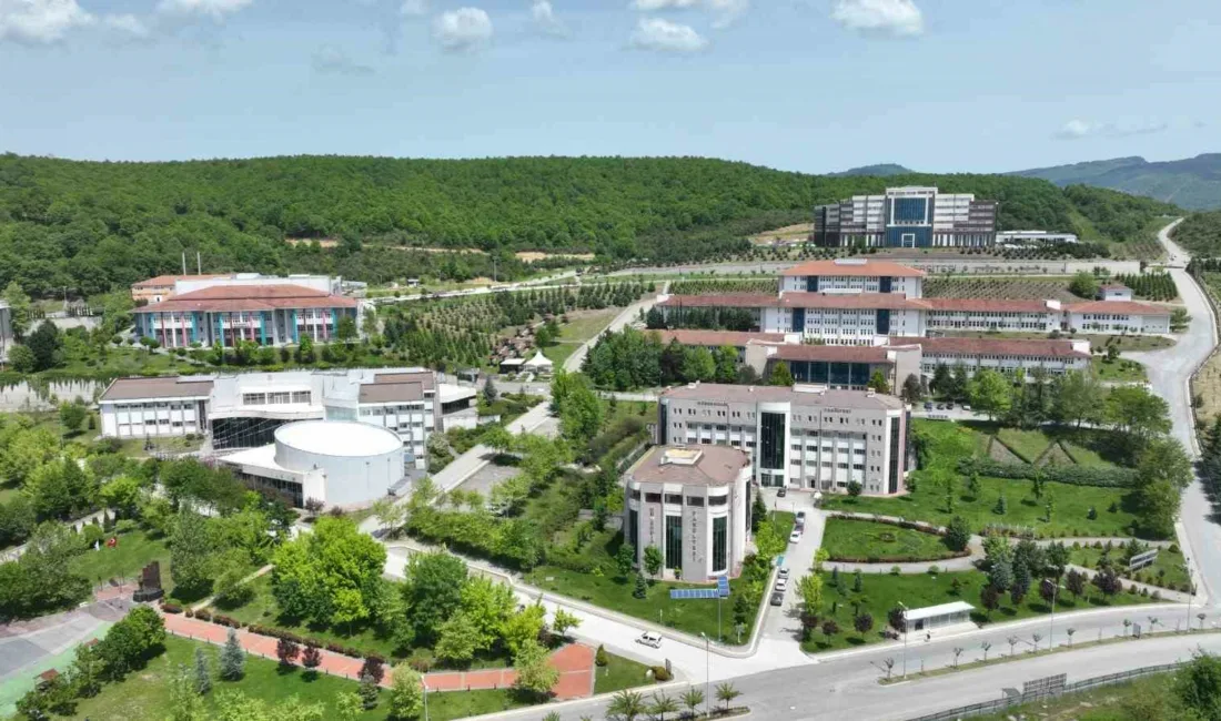 Düzce Üniversitesi, TÜBİTAK Araştırma Destek Programları (TÜBİTAK-ARDEB) performans göstergelerine göre