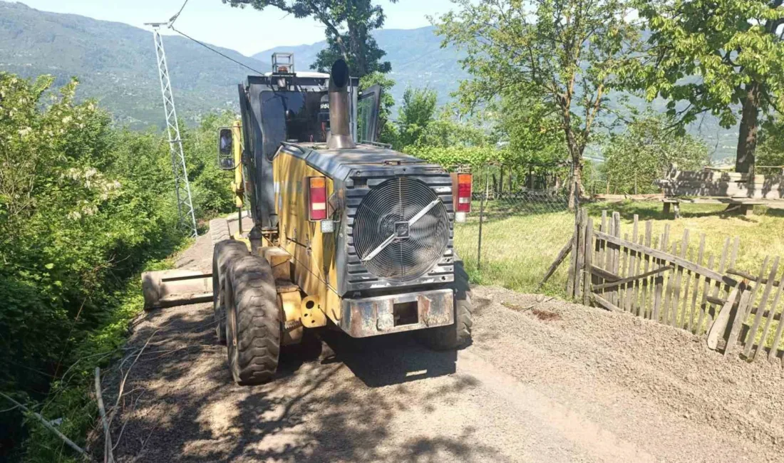 DÜZCE (İHA) – Düzce’nin Gölyaka ilçesine bağlı Bakacak köyünde yürütülen