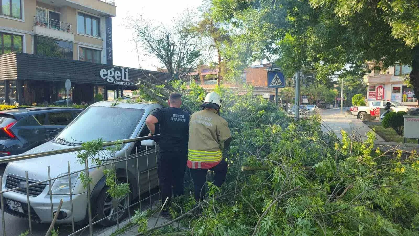 Düzce’de hafif ticari aracın üzerine ağaç devrildi. Hatalı park edildiği