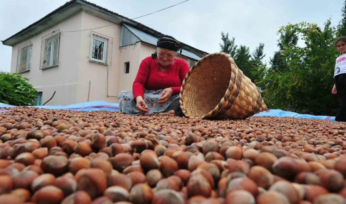 Düzce’den Avrupa Birliğine üye ülkelere dört ayda 5 bin 291,7
