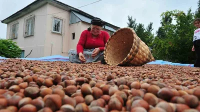 Düzce’den Avrupa Birliğine üye ülkelere dört ayda 5 bin 291,7