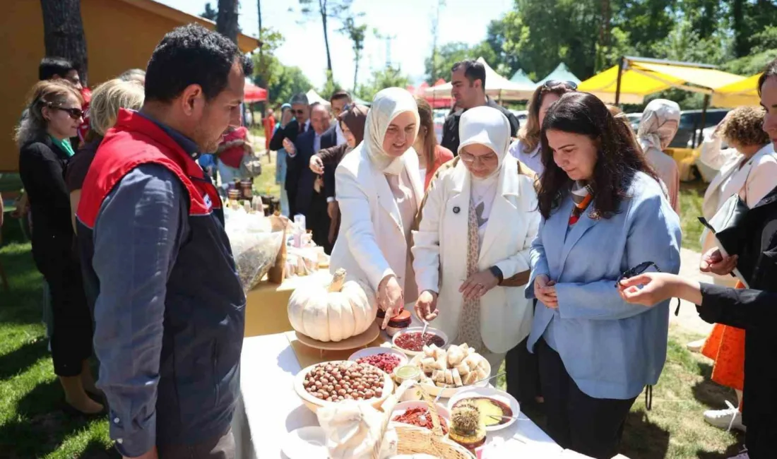 Düzce İl Tarım ve Orman Müdürlüğü ile Birleşmiş Milletler Gıda