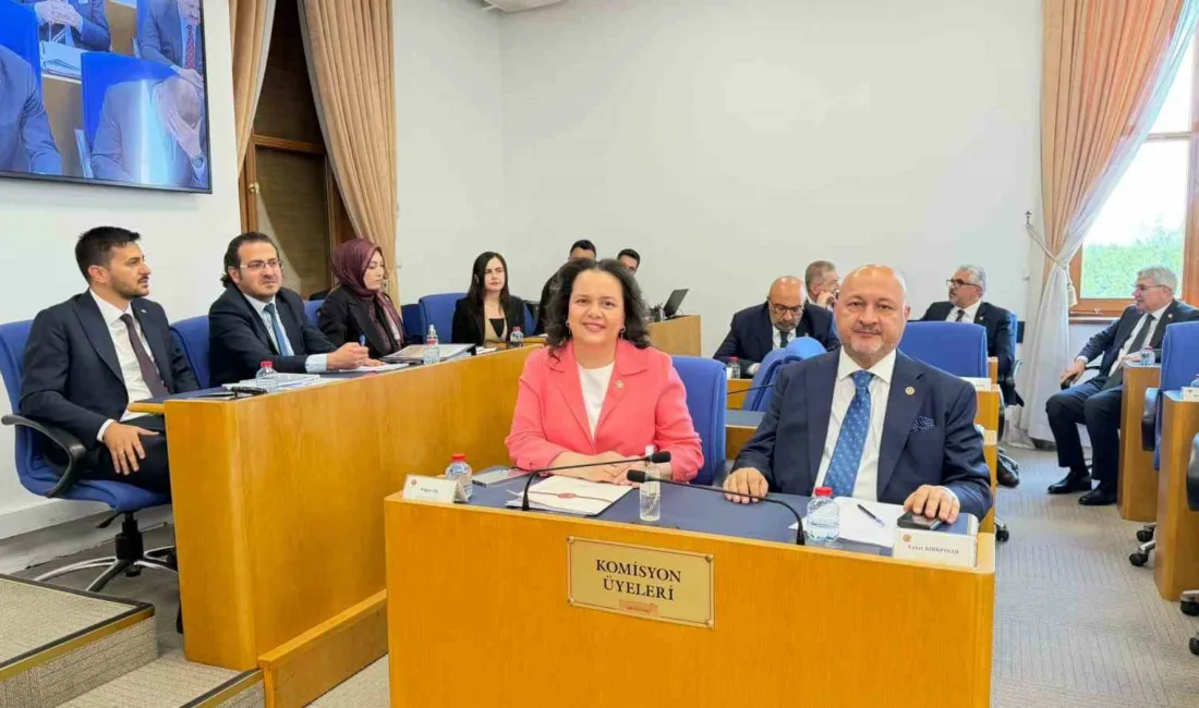 Emniyet Teşkilatı, vergi ve basına yönelik düzenleri içeren kanun teklifinin